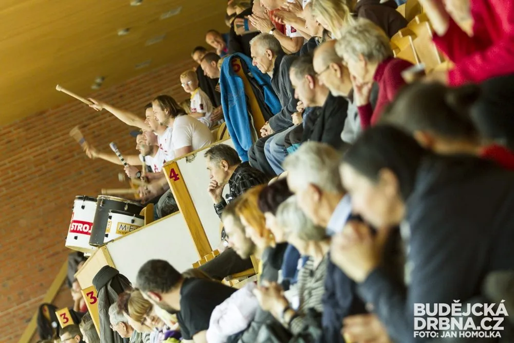 VK Jihostroj České Budějovice - Aero Odolena Voda 3:1