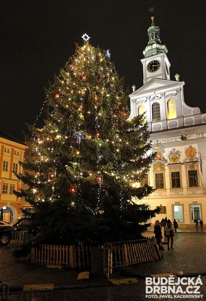 Vánoční strom na náměstí Přemysla Otakara II.