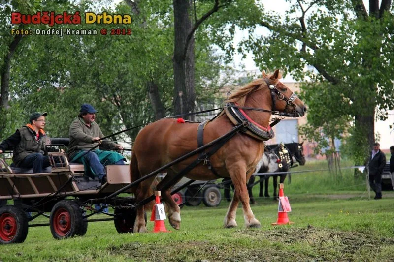 Ilustrační foto