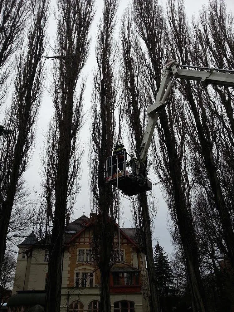 Jihočeští hasiči zasahují u stromů, které hrozí nebezpečím