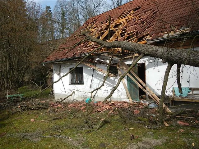 Spadlý strom na střechu rodinného domu