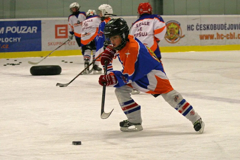 Pouzar Hockey Academy