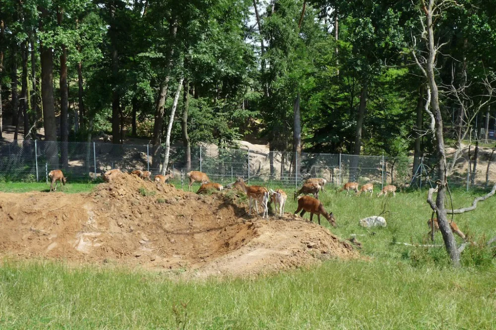 Zoo Tábor
