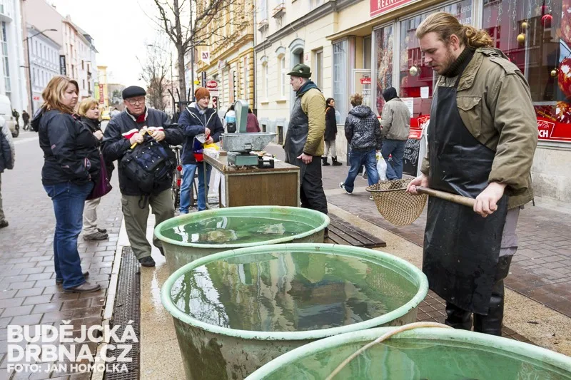 Ilustrační foto