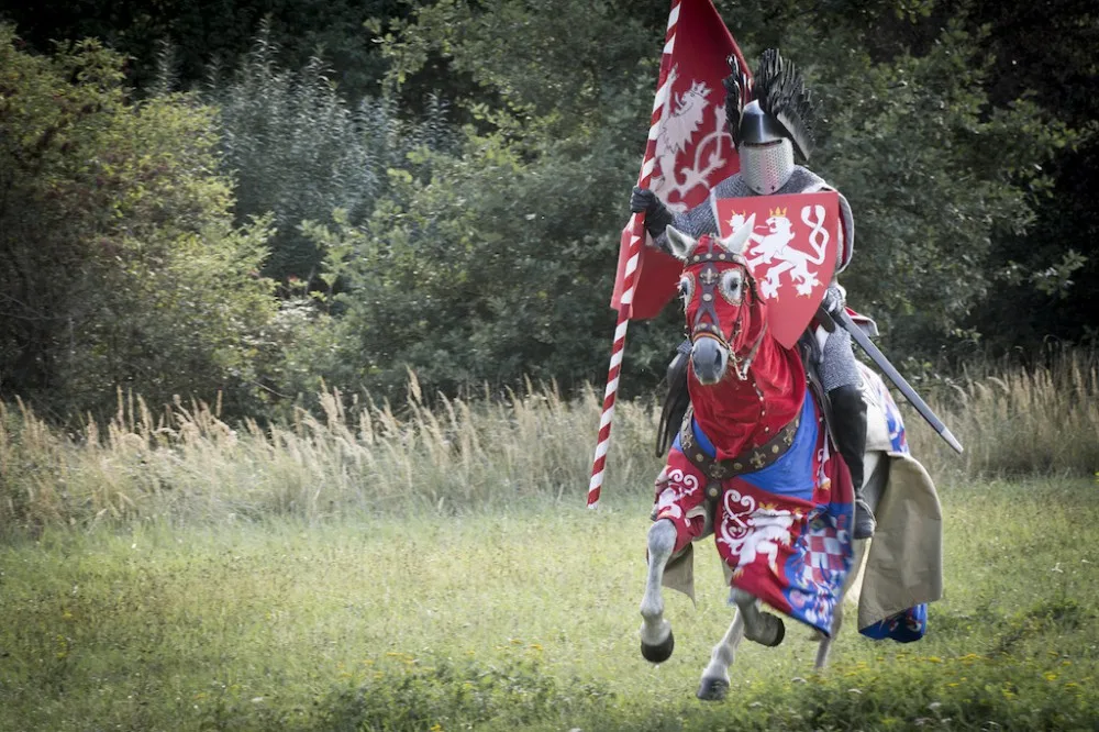 Přemysl Otakar II.