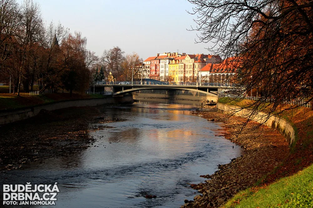 Vypuštěné koryto