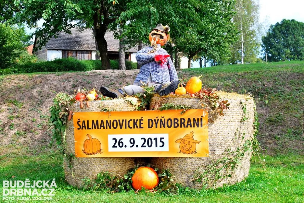 Dýňobraní