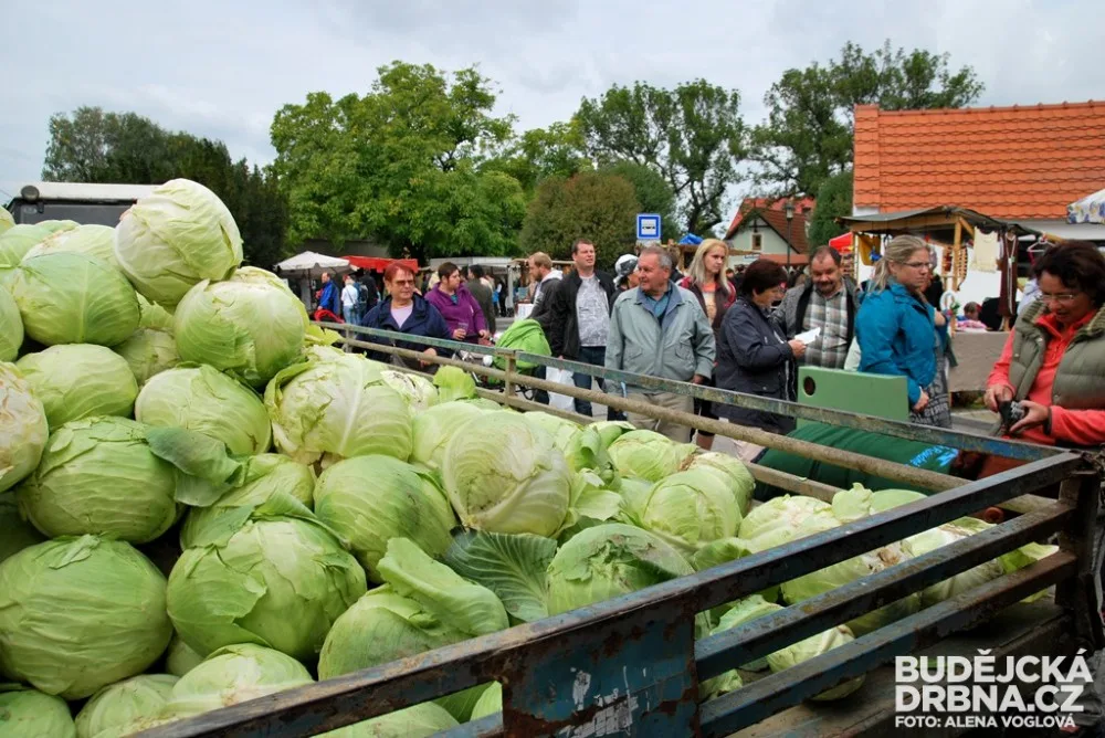 Zelnobraní