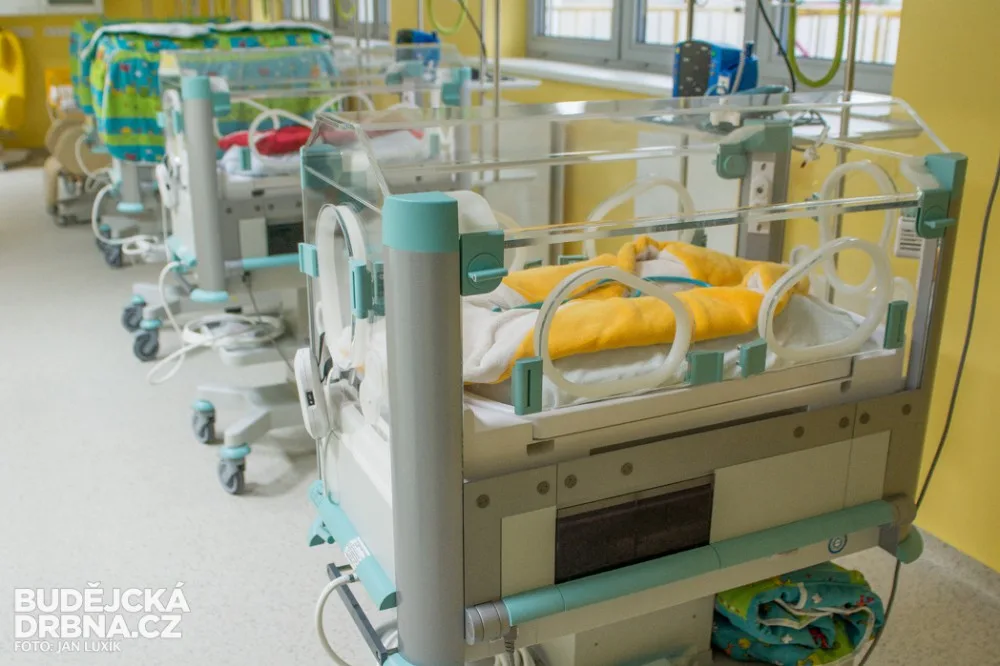Porodnice a neonatologie