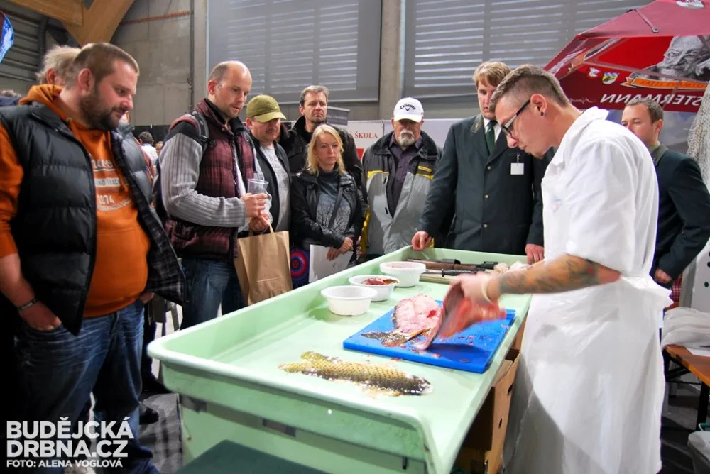 Gastrofest