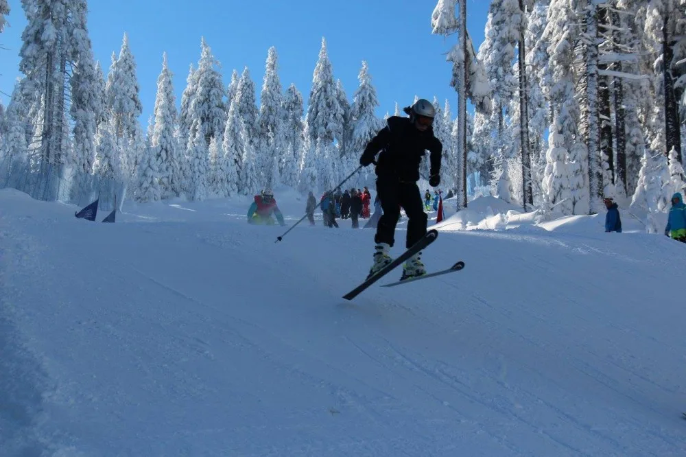 Skicross na Olympiádě dětí a mládeže