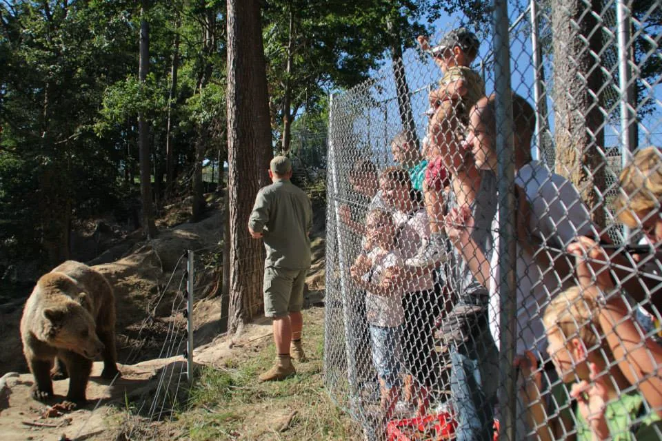 ZOO Tábor