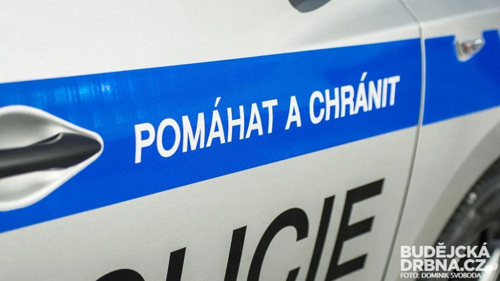 Ilustrační foto - policie