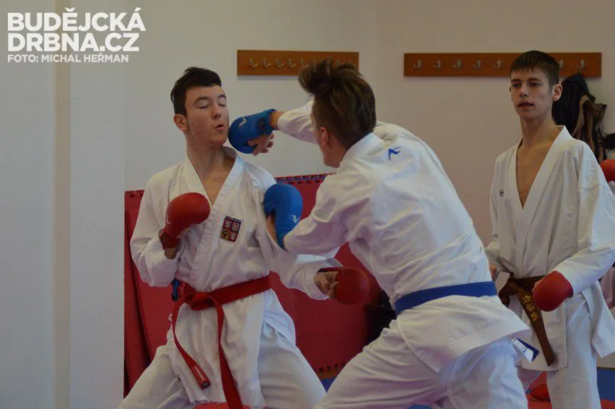 Trénink karatistů TJ Karate České Budějovice