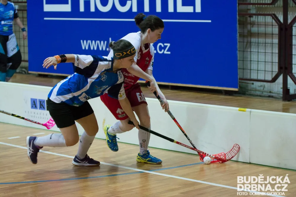 FBC Štíři České Budějovice