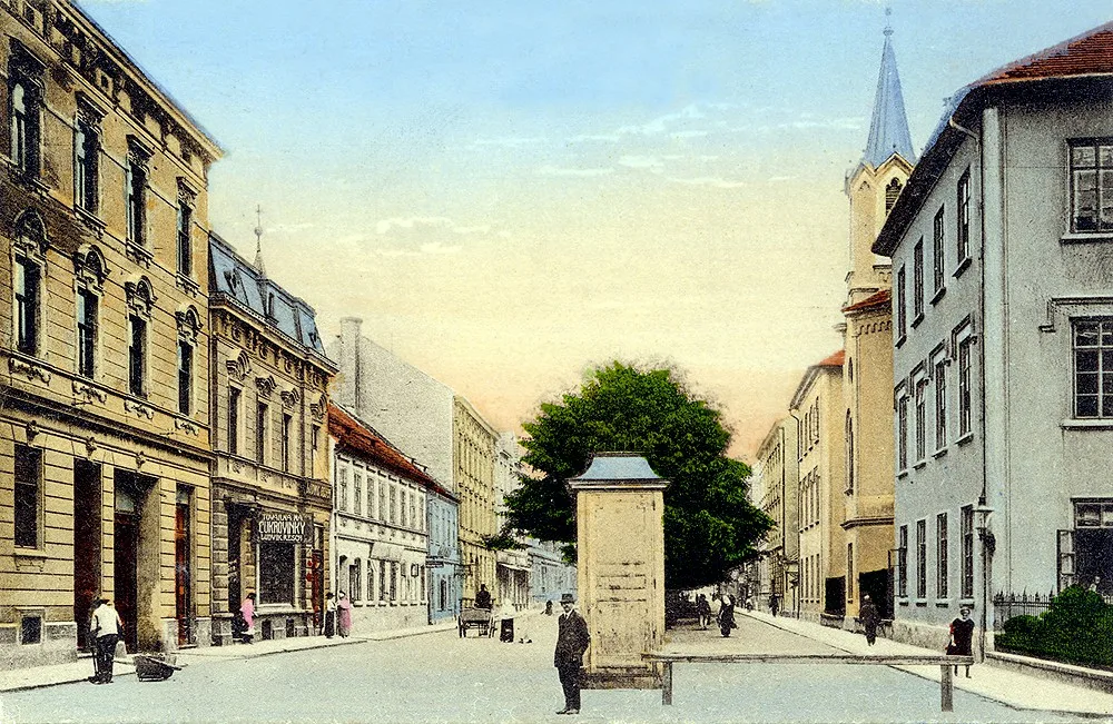 Lannovka v období c. k. od Jeronýmovy ulice směrem k nádraží. Alej uprostřed je tvořena kaštany, které byly odstraněny v roce 1929 poté, co promrzly při rekordních mrazech ve městě (až -42,2°C)