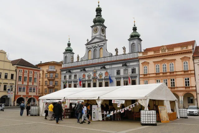 LIteratura žije