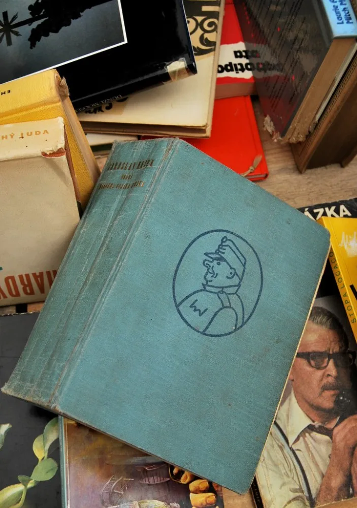 Literatura žije