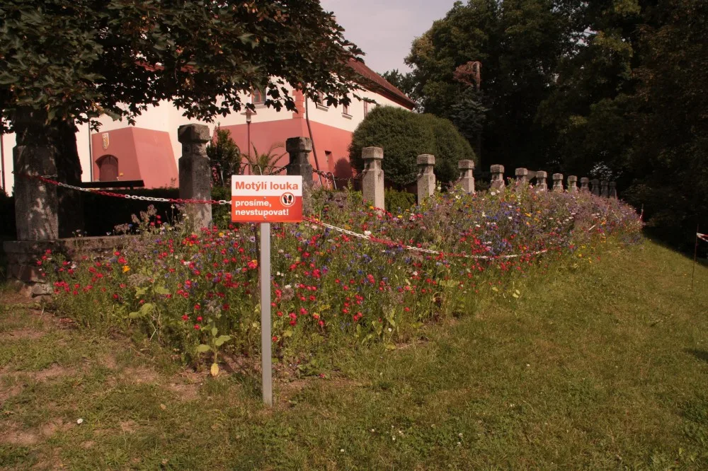 Třináct druhů motýlů se rok nastěhovalo do temelínské motýlí louky