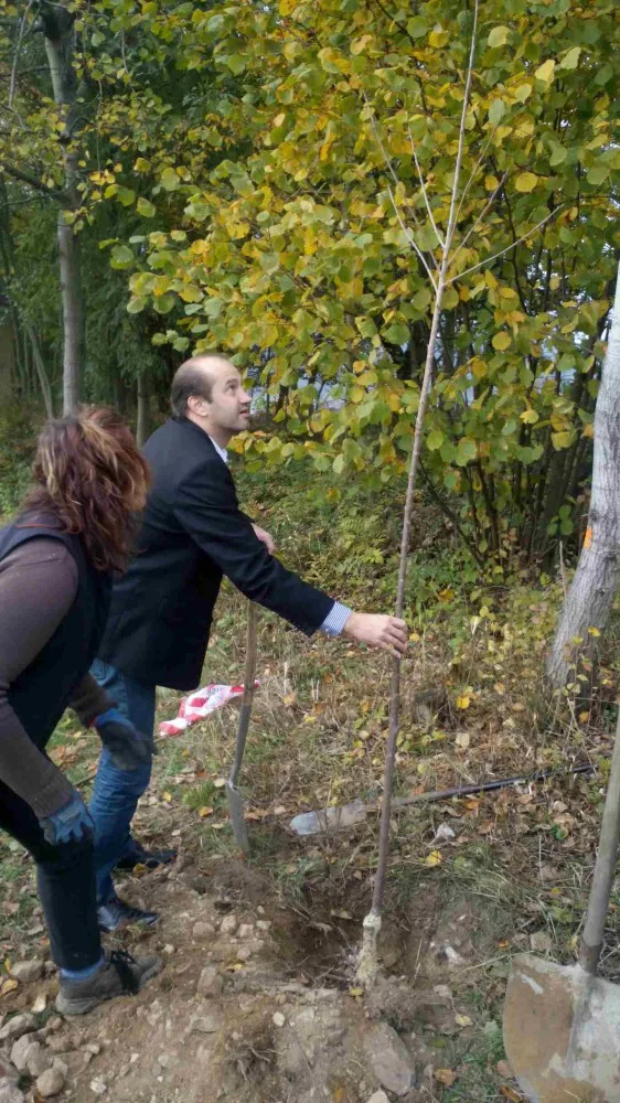 Se sázením stromů pomáhal i starosta Prachatic