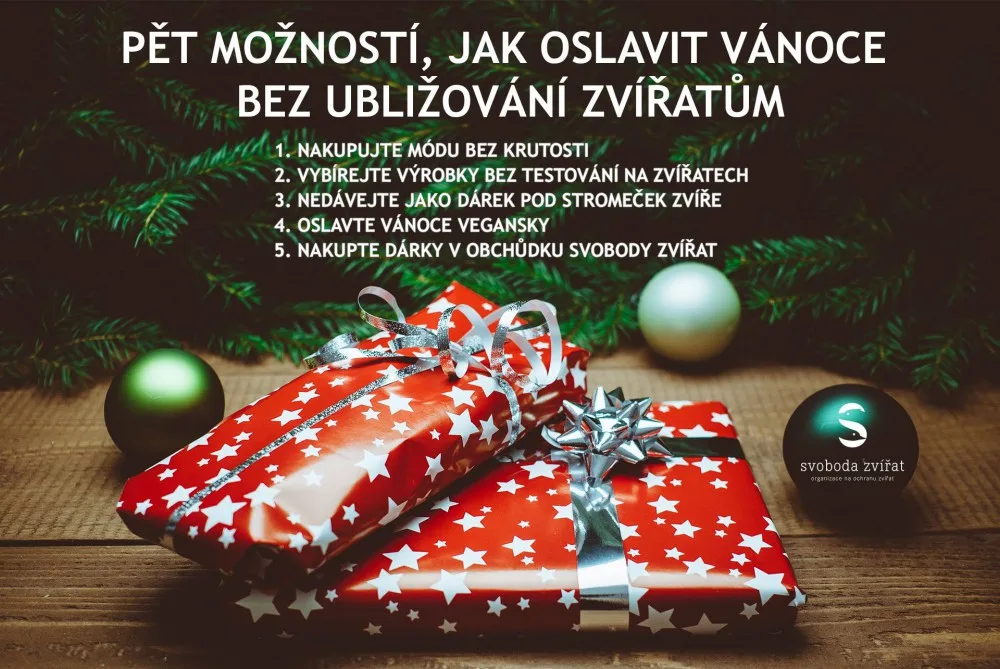 Pět tipů