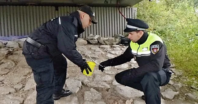 Celorepubliková akce Jehla.