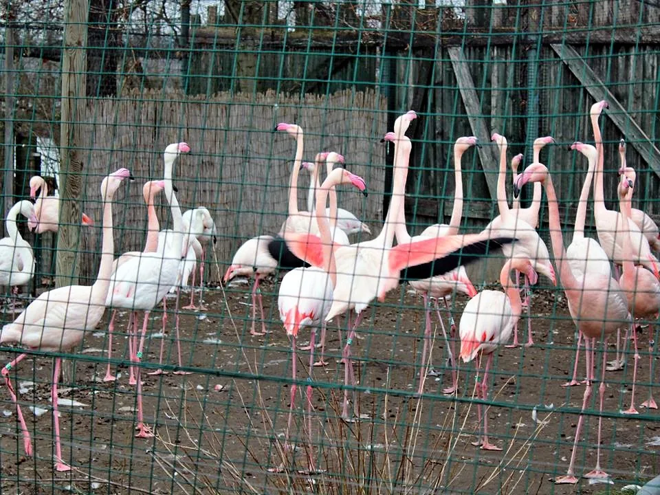 Zoo Ohrada v Hluboké nad Vltavou.