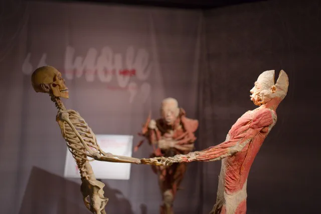Výstava Body The Exhibition