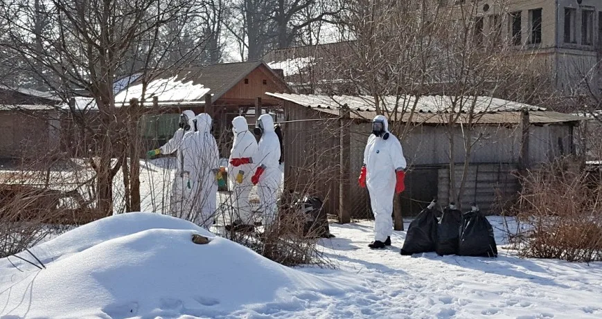 Likvidace drůbeže v malochovu ve Volyni.