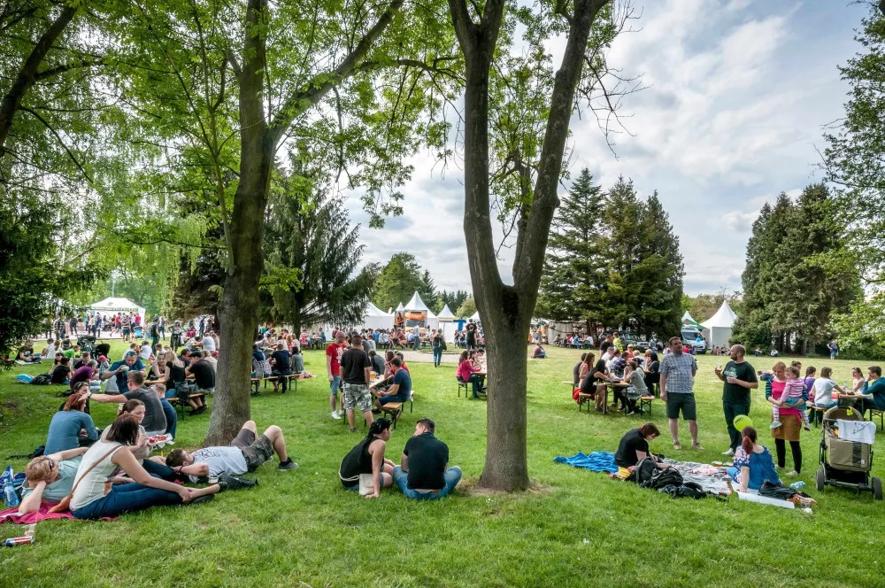 Bosch Fresh Festival