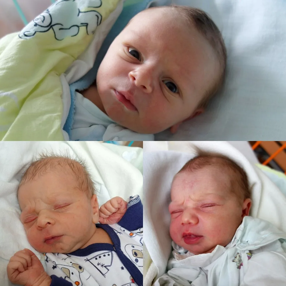 Vilém Franc, Petr Tydlačka a Leonie Hartl