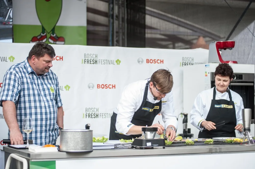 Bosch Fres Festival v Českých Budějovicích-