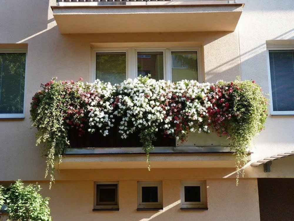 Rozkvetlé město