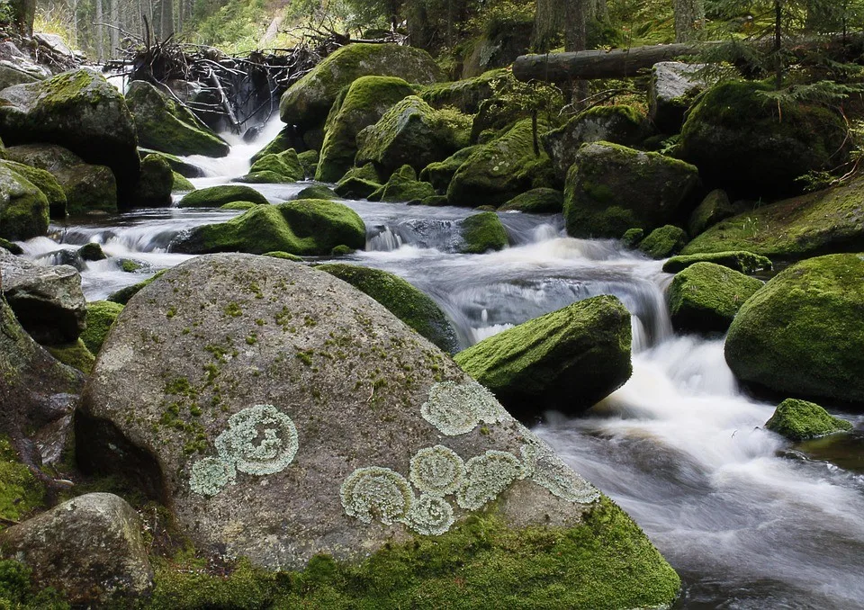 Šumava