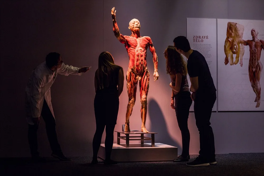 Výstava Body The Exhibition.