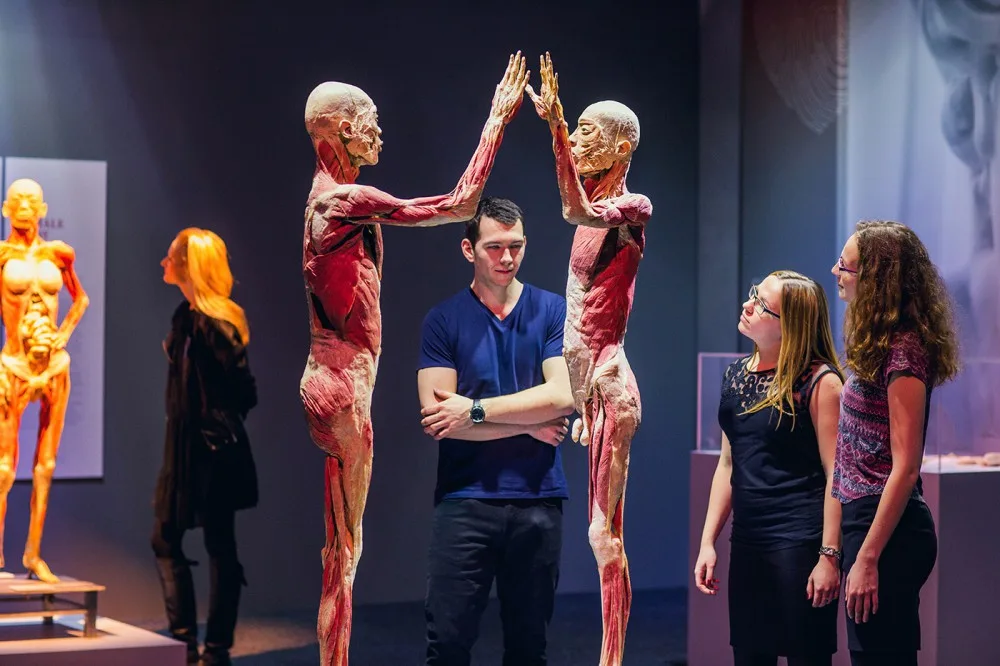 Výstava Body The Exhibition.