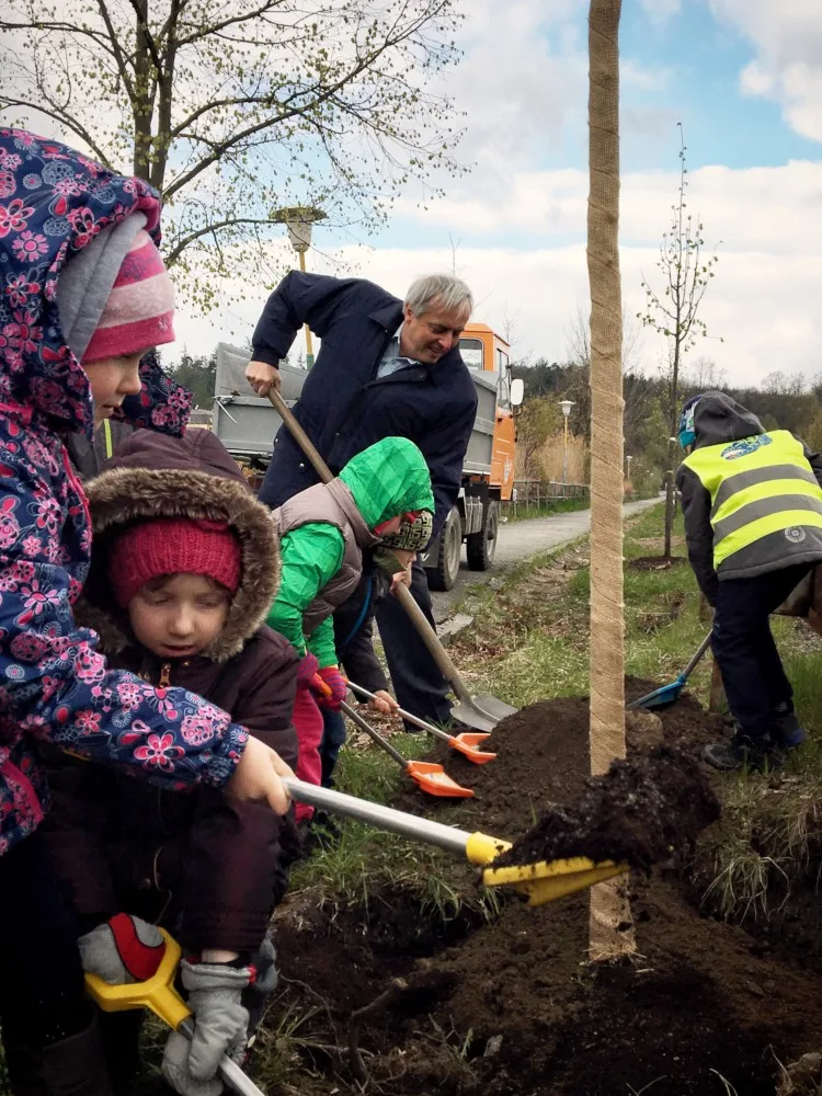 Na zakládání alejí se podílejí dobrovolníci a děti z mateřských a základních škol.