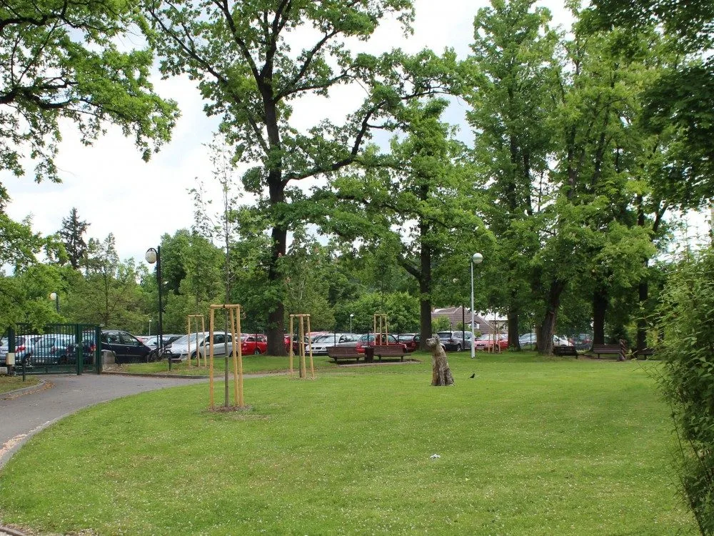 Zeleň