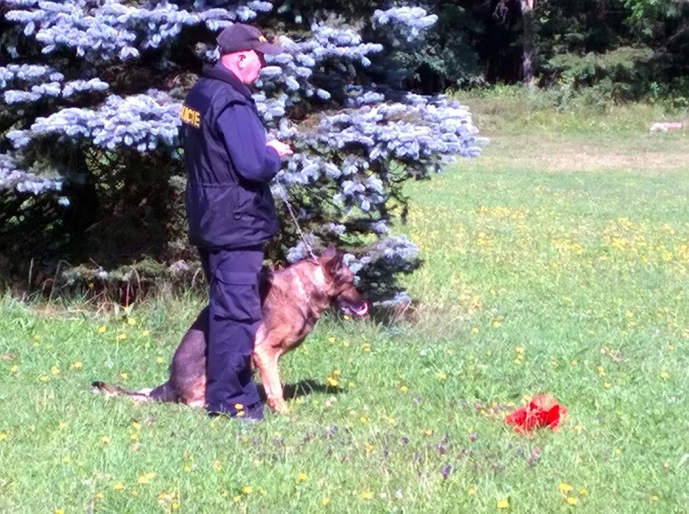 Prachatický policejní psovod Jaroslav Čejka a jeho německý ovčák Chasan se umístili na krásné druhé příčce a stali se tak vicemistrem ve vyhledávání drog. 