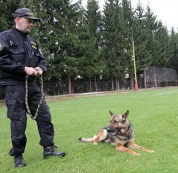 Prachatický policejní psovod Jaroslav Čejka a jeho německý ovčák Chasan se umístili na krásné druhé příčce a stali se tak vicemistrem ve vyhledávání drog. 