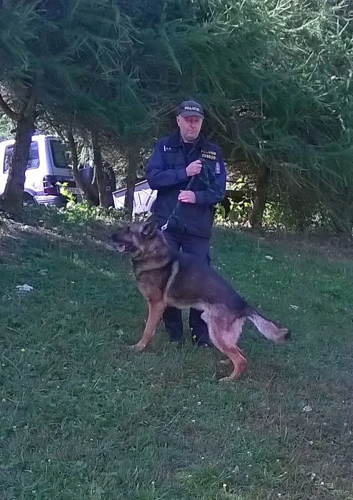 Prachatický policejní psovod Jaroslav Čejka a jeho německý ovčák Chasan se umístili na krásné druhé příčce a stali se tak vicemistrem ve vyhledávání drog. 