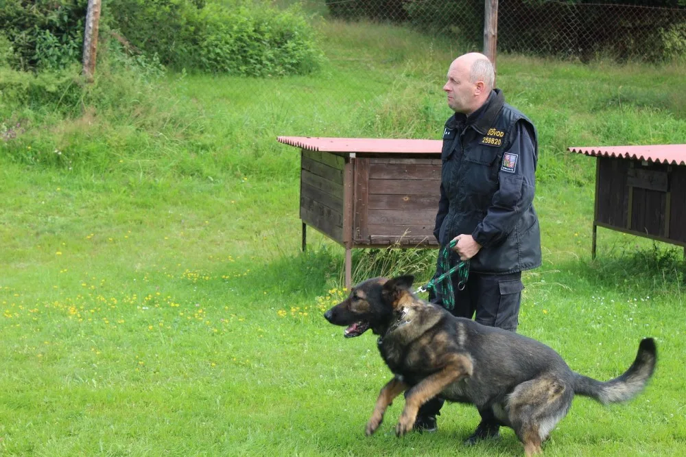 Prachatický policejní psovod Jaroslav Čejka a jeho německý ovčák Chasan se umístili na krásné druhé příčce a stali se tak vicemistrem ve vyhledávání drog. 