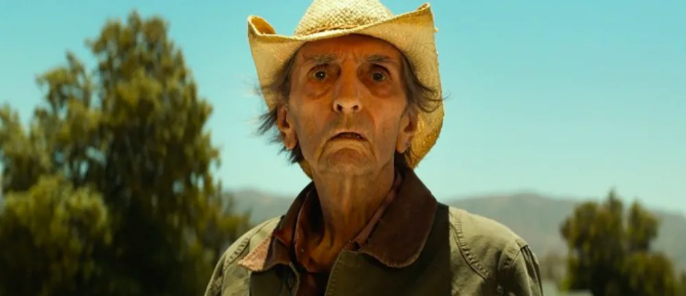 Harry Dean Stanton