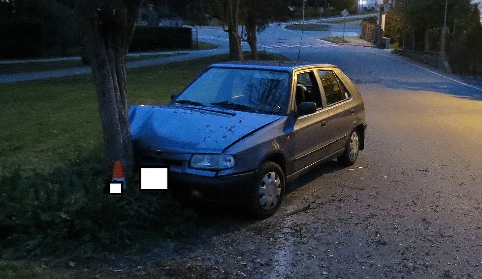 Opilý muž z Lipenska naboural ve Větřní do stromu.