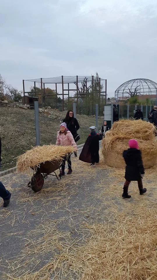 Strašidelná Zoo