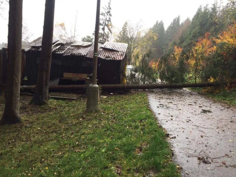 Frymburk Camp Vřesná