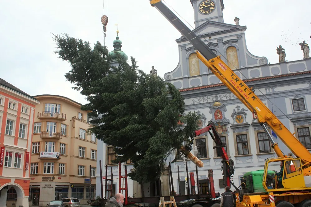 Usazování vánočního stromu na budějcké náměstí, sobota 18. listopadu dopoledne.