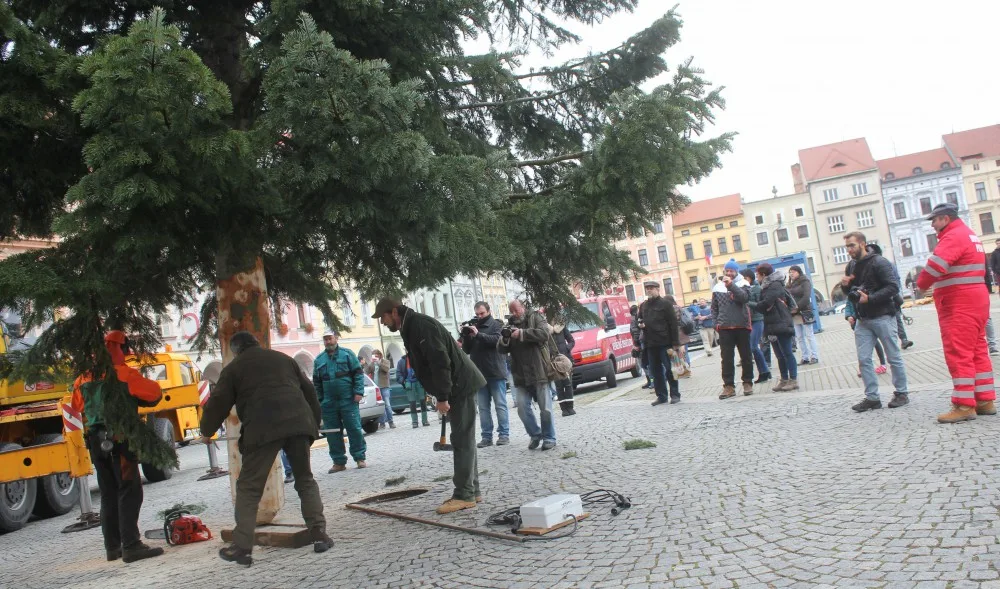 Usazování vánočního stromu na buděcké náměstí, sobota 18. listopadu dopoledne.