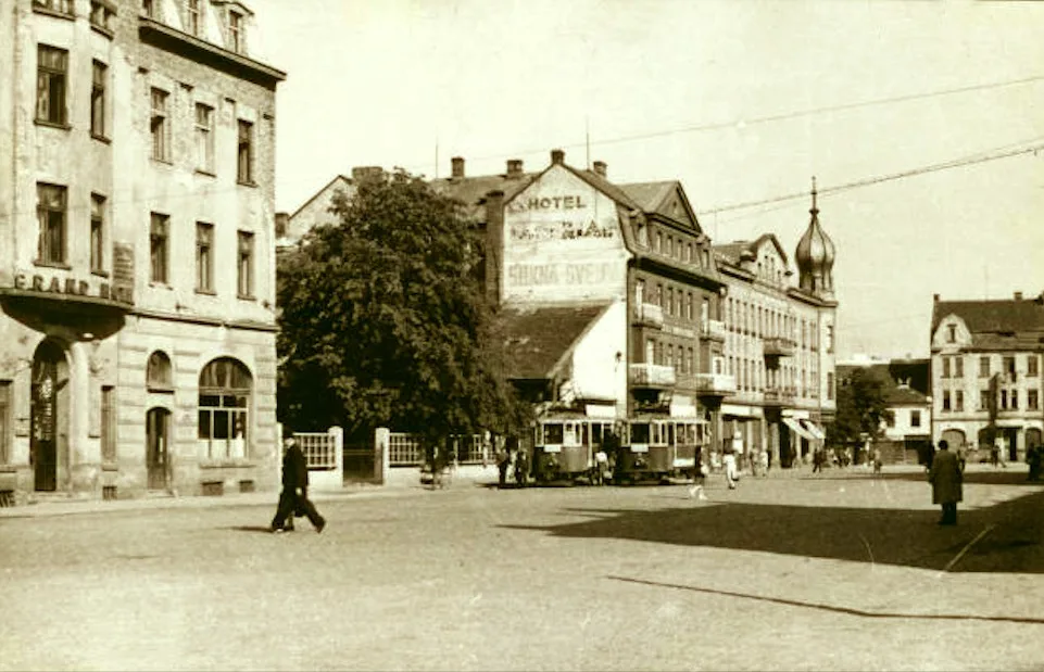 Drbna historička