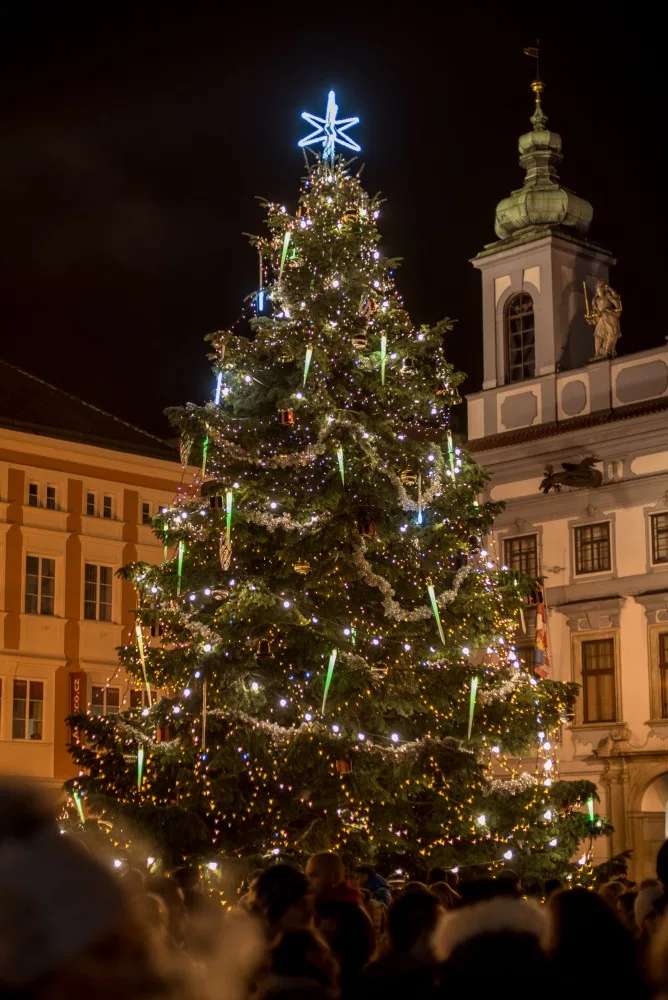Vánoční strom v Budějcích už září. Jeho slavnostní rozsvícení sledovalo náměstí plné lidí
